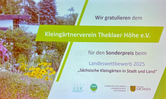 Landeswettbewerb 2025