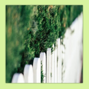 Sprechstunde der Schlichtergruppe