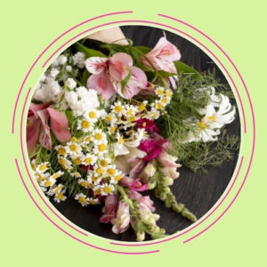 Dankeschönveranstaltung