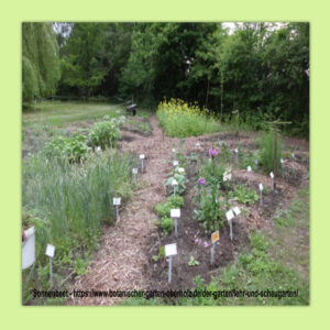 Botanischer Garten Oberholz wird 90