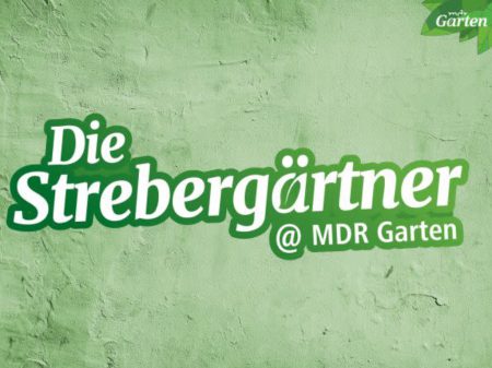 Foto: Mitteldeutscher Rundfunk