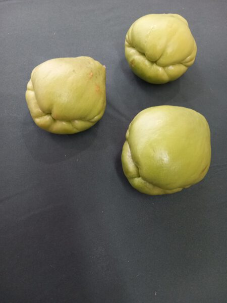 Chayote 2025