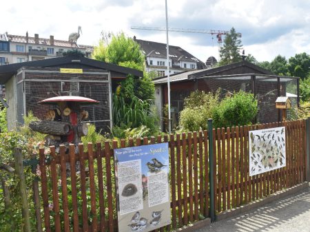 Ein interessant gestalteter „Vogelgarten“ am Hauptweg.