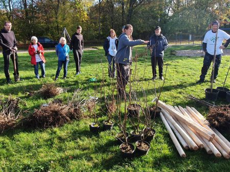 Die Initiative „LEIPZIG pflanzt“ hat sich als Ziel gesetzt, 600.000 Bäume in und um Leipzig zu pflanzen, um langfristig Kohlendioxid zu binden und für mehr Grün in der Stadt zu sorgen. Foto: Lars Hermann