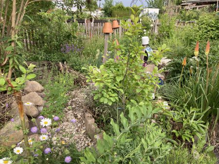 Parzelle in KGA Phönix 1894_2