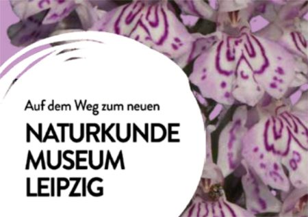 Programm-09-10