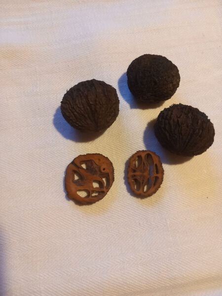 Schwarznuss