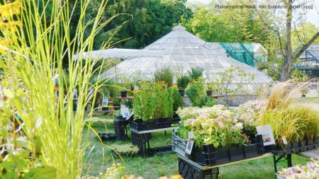 Foto: Botanischer Garten Leipzig