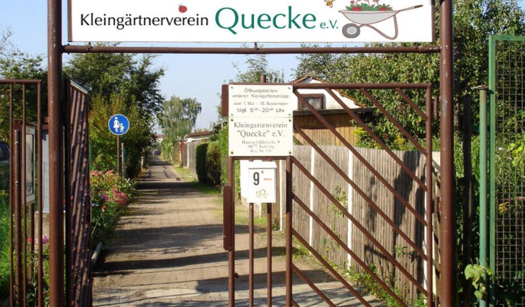 kgv-quecke