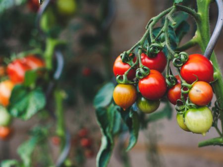Photo by Markus Spiske on Unsplash