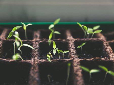 Photo by Markus Spiske on Unsplash