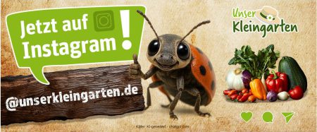 unserkleingarten_jetzt-auf-insta